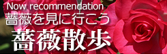 KNU