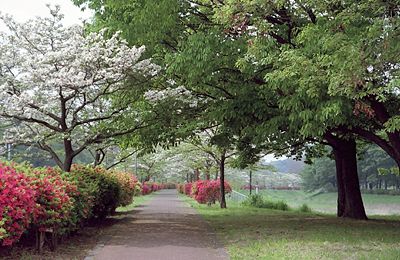 武蔵野公園 武蔵野公園