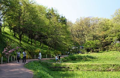 羊山公園／芝桜の丘