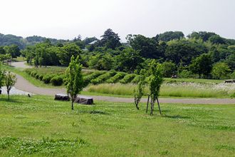 茅ヶ崎里山公園