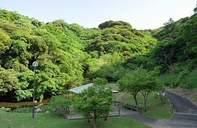 観音崎公園