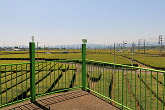 入間茶業公園