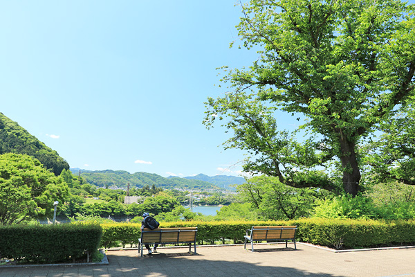 津久井湖城山公園「花の苑地」から「水の苑地」を見る