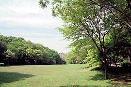 茅ヶ崎公園