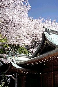 春の南大谷天神社