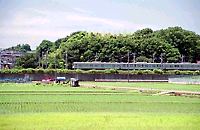 水田地帯の横を走る横浜線