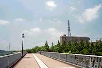 桜歩道橋