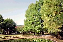 石川東公園