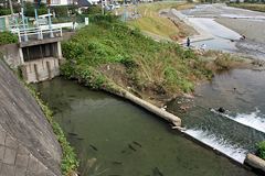 用水路の水門と浅川