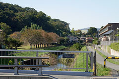 住吉橋から片倉城跡公園を見る