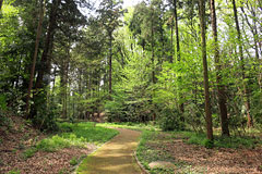 松葉谷戸公園 松葉谷戸公園