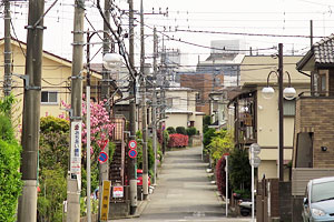 境川から成瀬駅へ 境川から成瀬駅へ