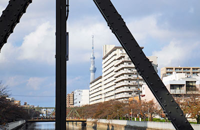 大栄橋から見る東京スカイツリー