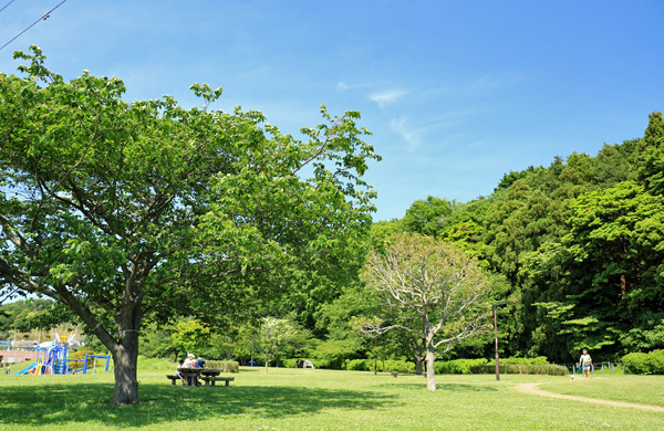 ne