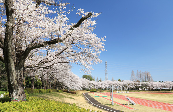 ���炭�H�������