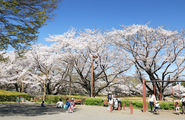 ���炭�H�������