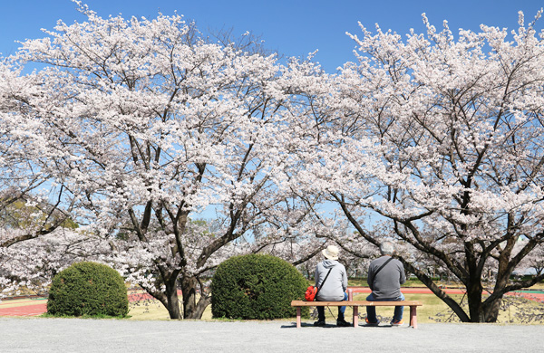 ���炭�H�������