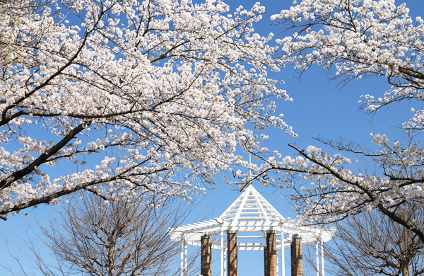 ���炭�H�������