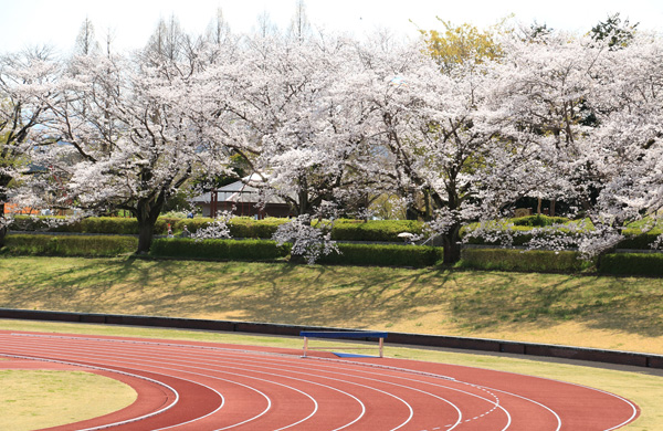 ���炭�������