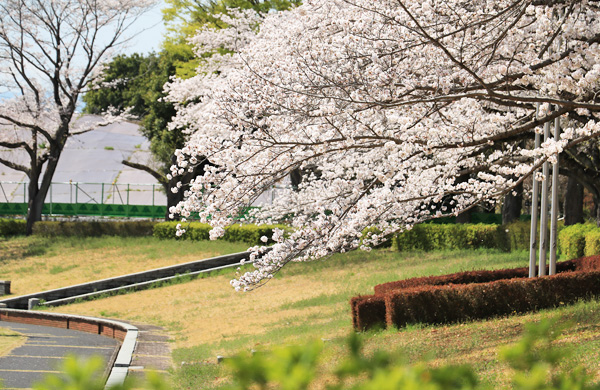 ���炭�H�������