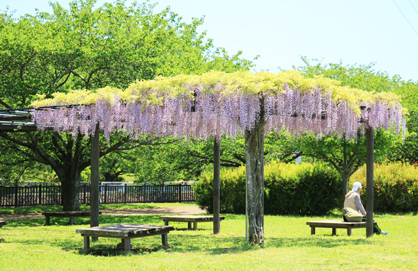 ���n��e������