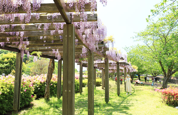 ���n��e������