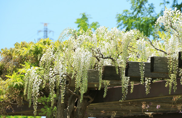 ���n��e������