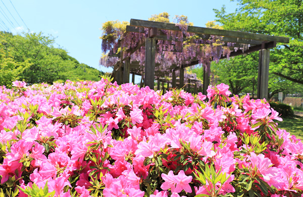 ���n��e������