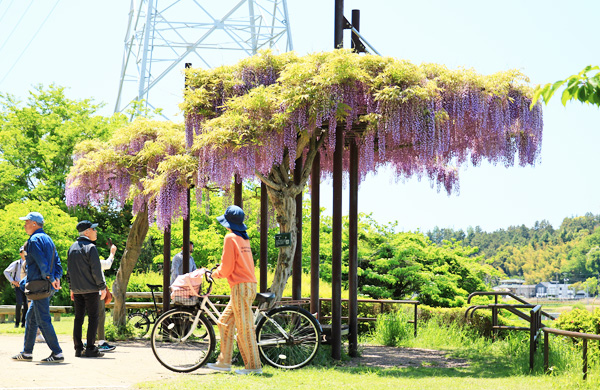 ���n��e������