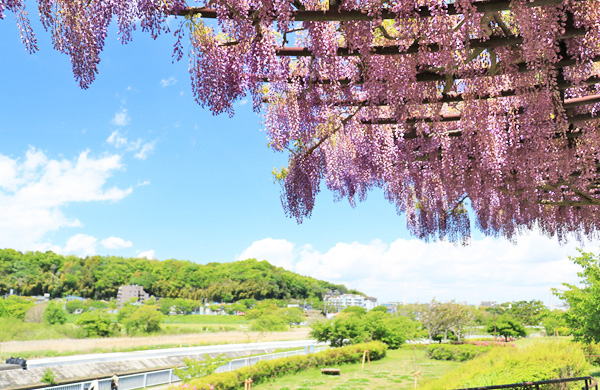 ���n��e������