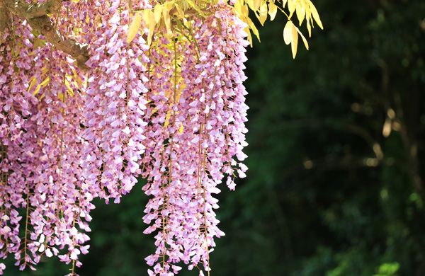 ���n��e������