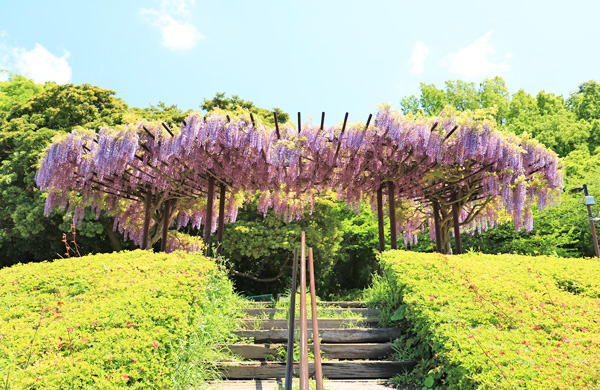 ���n��e������