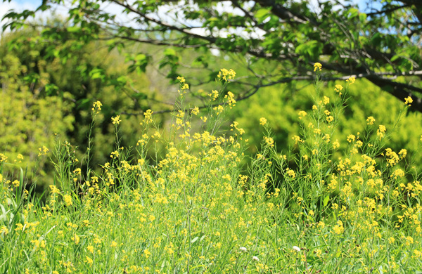 ���n��e������