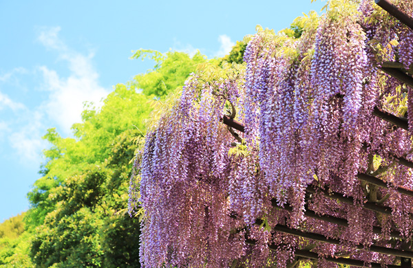 ���n��e������