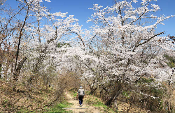 ���炭�������