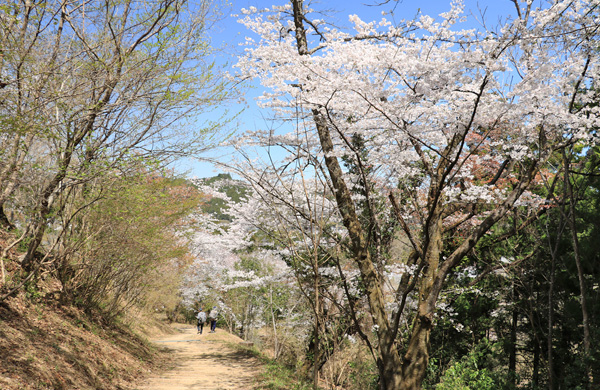 ���炭�������