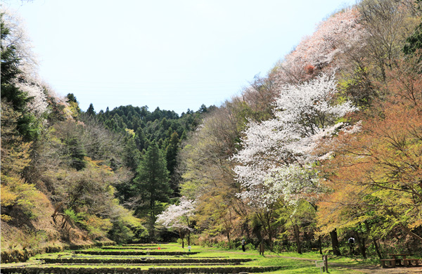 ���炭�������