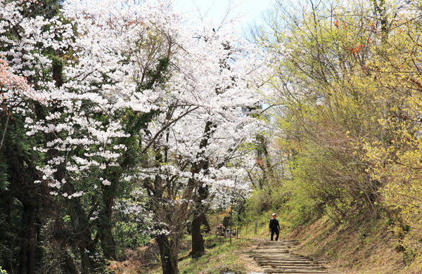 ���炭�������