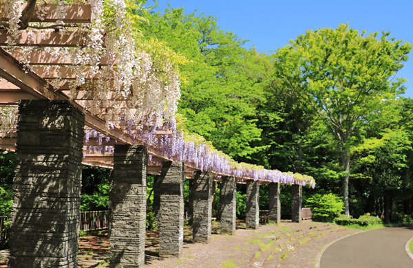 ���̍炭���������