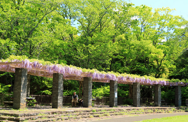 ���̍炭���������