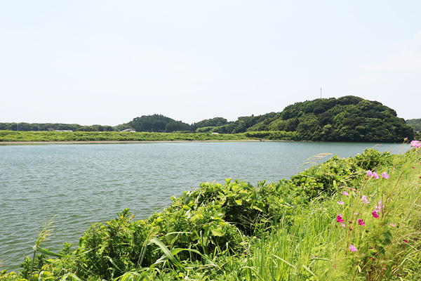 福島川河川歴史公園 福島川河川歴史公園
