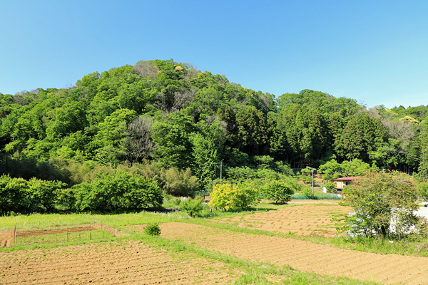 相原 相原