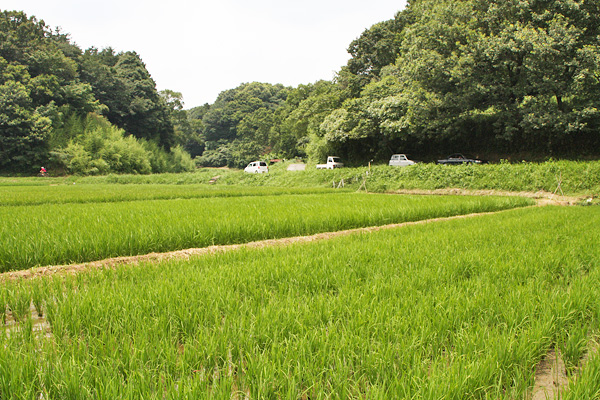 寺家 寺家