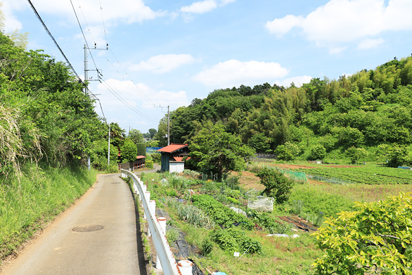 新治・三保 新治・三保