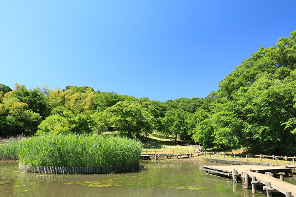 小山田 小山田