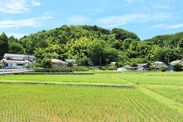 高月 高月