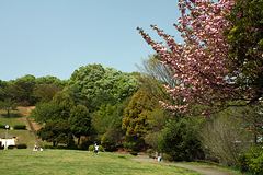 久保山公園 久保山公園