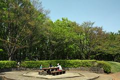 久保山公園 久保山公園