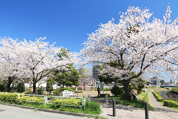 ���炭��I�����