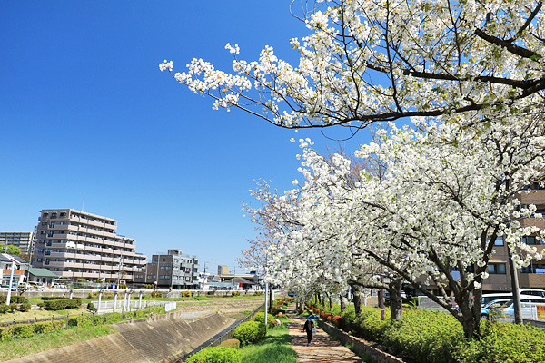 ���炭��I�����